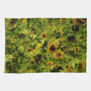 Sunflower field towel