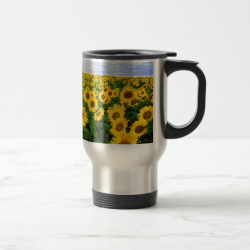 sunflower field travel mug