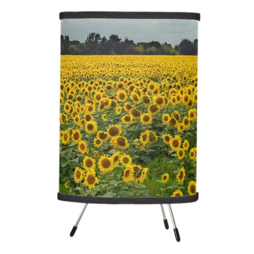 Sunflower Field Tripod Lamp