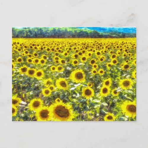 Sunflower Field Vincent Van Gogh Postcard