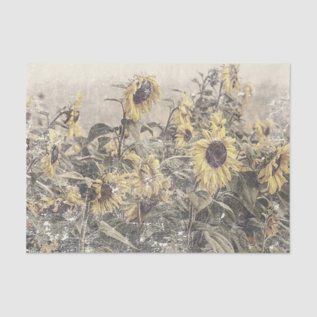 Sunflower Field Vintage Antique Distressed Texture Tissue Paper (Front)