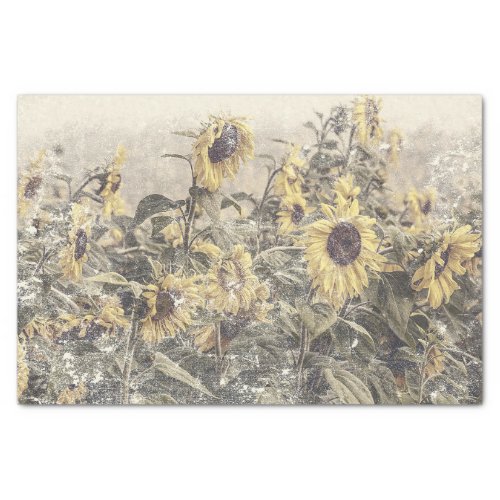 Sunflower Field Vintage Antique Distressed Texture Tissue Paper