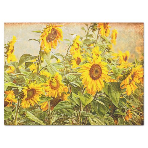 Sunflower Field Vintage Antique Yellow Decoupage Tissue Paper