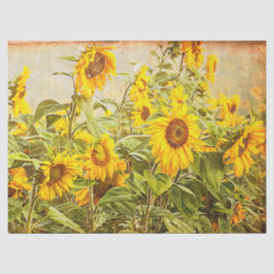 Sunflower Field Vintage Antique Yellow Decoupage Tissue Paper