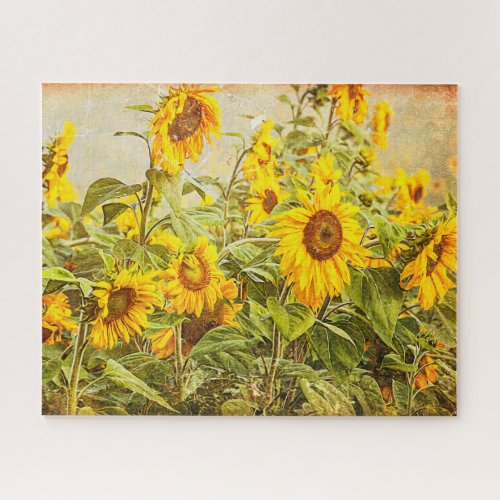 Sunflower Field Vintage Antique Yellow Floral Jigsaw Puzzle