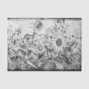 Sunflower Field Vintage Black And White Decoupage Tissue Paper