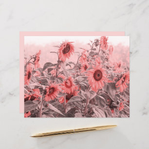 Sunflower Field Vintage Blush Pink Gray Decoupage