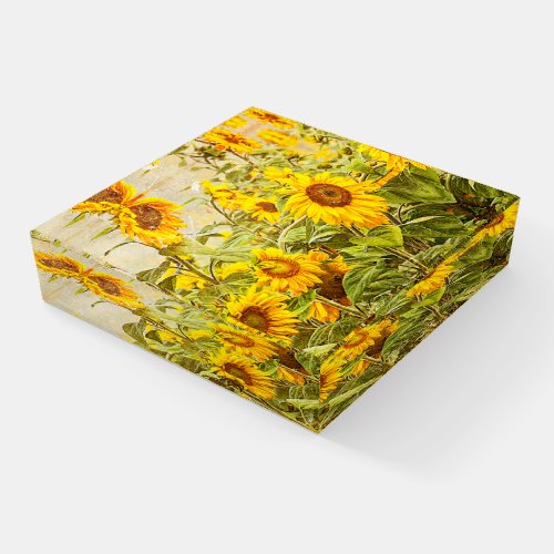 Sunflower Field Vintage Country Yellow Green Art Paperweight