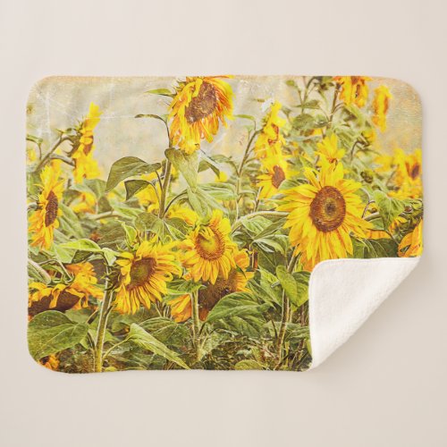 Sunflower Field Vintage Green Yellow Country Art Sherpa Blanket