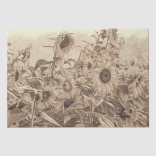 Sunflower Field Vintage Sepia Tone Decoupage Tissue Paper