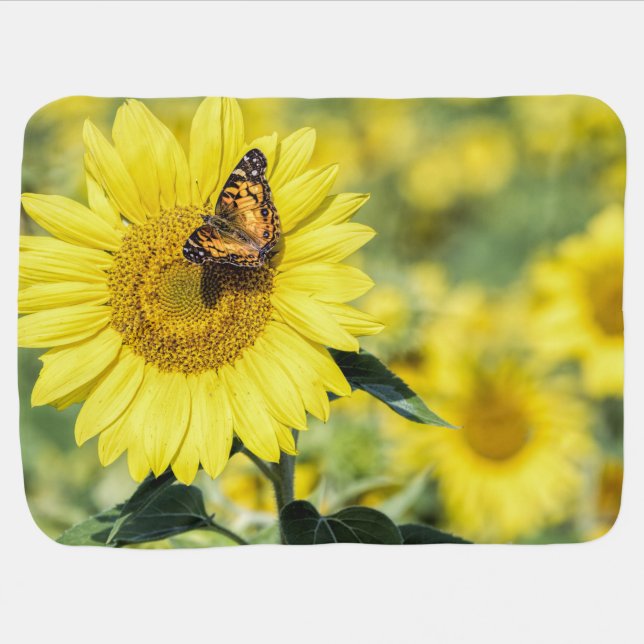 Sunflower Field with Butterfly Baby Blanket (Horizontal)