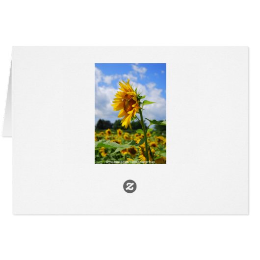 Sunflower Field with Farmhouse Card (Back Horizontal)