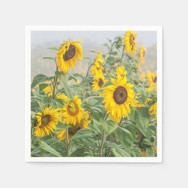 Sunflower Field Yellow Green Beautiful Floral Napkins (Front)
