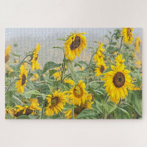 Sunflower Field Yellow Green Beautiful Garden Jigsaw Puzzle