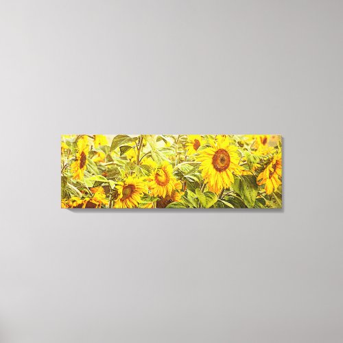 Sunflower Field Yellow Green Rustic Vintage Canvas Print