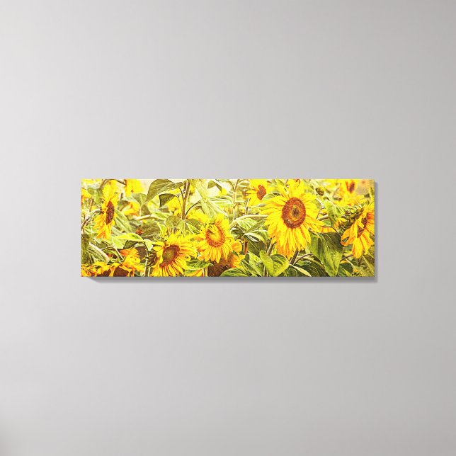 Sunflower Field Yellow Green Rustic Vintage Canvas Print (Front)
