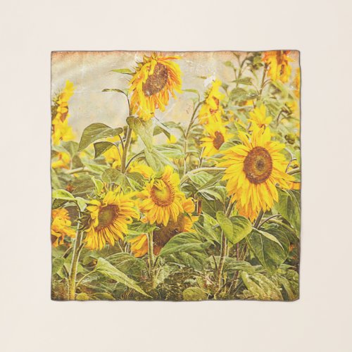 Sunflower Field Yellow Green Rustic Vintage Scarf