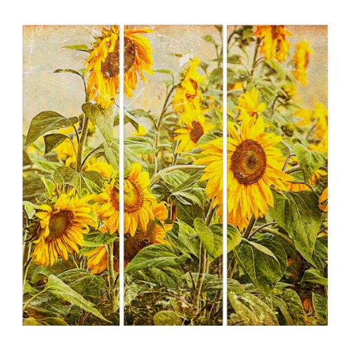 Sunflower Field Yellow Green Rustic Vintage Triptych