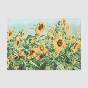 Sunflower Field Yellow Teal Floral Decoupage Art Tissue Paper
