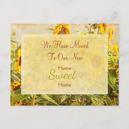 Sunflower Field Yellow Vintage Weved Moved Moving Postcard