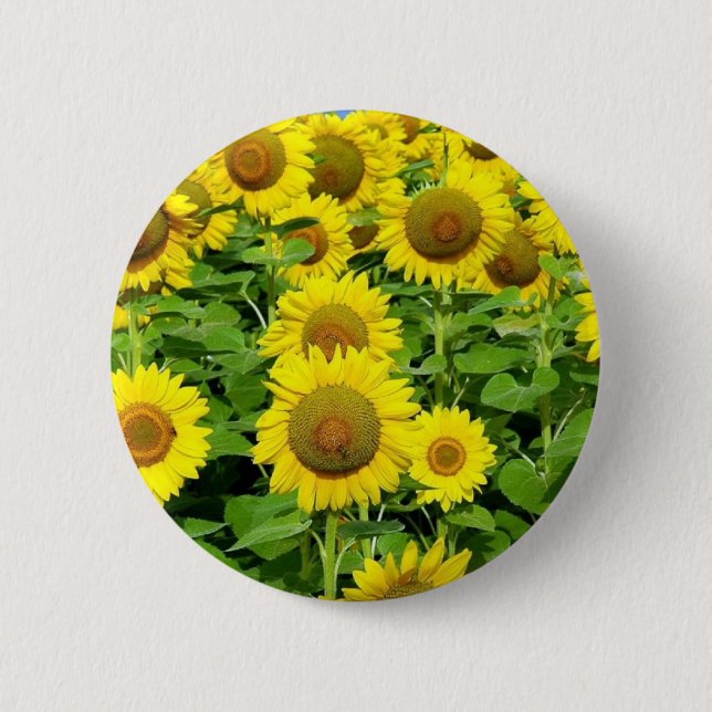 Sunflower Fields Button (Front)