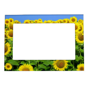 Sunflower Fields Magnetic Photo Frame