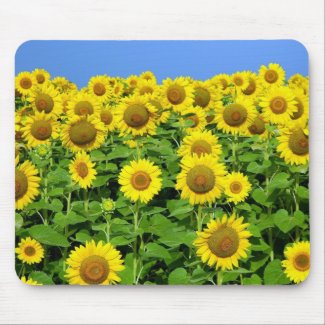 Sunflower Fields Personalized Mouse Pad