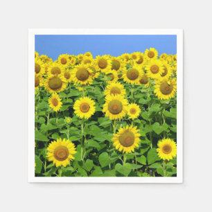 Sunflower Fields Napkins