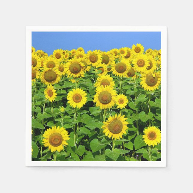 Sunflower Fields Napkins (Front)