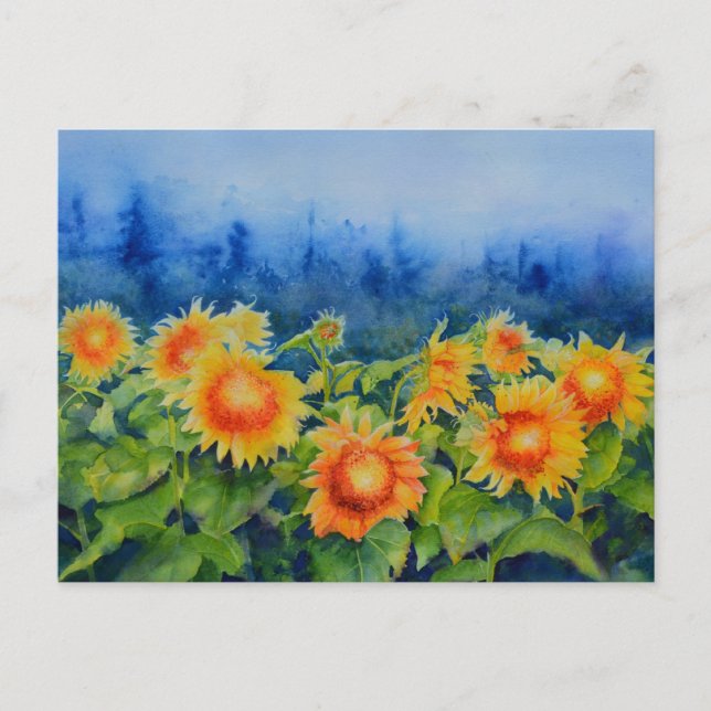 Sunflower Fields Postcard (Front)