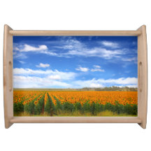 Sunflower Fields - serving tray