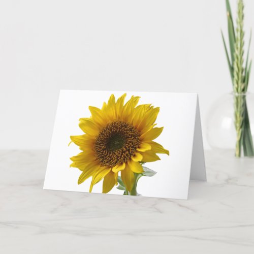 Sunflower Floral Blank Note Card