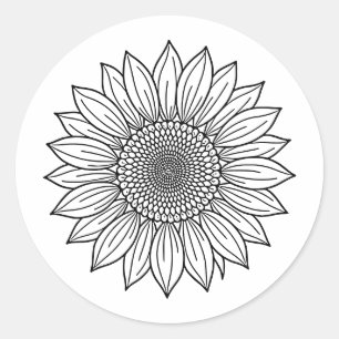 Sunflower Floral Illustration Line Art Classic Round Sticker