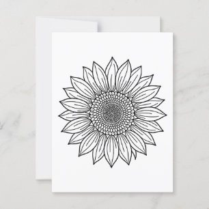 Sunflower Floral Illustration Line Art Postcard