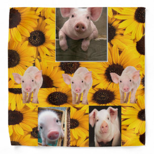 Sunflower Floral Pigs Bandana