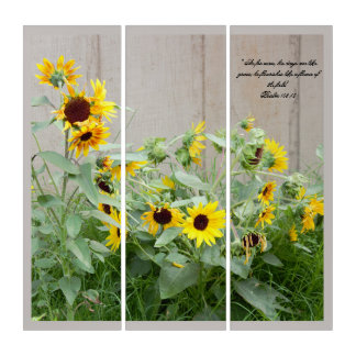 Sunflower Floral Triptych