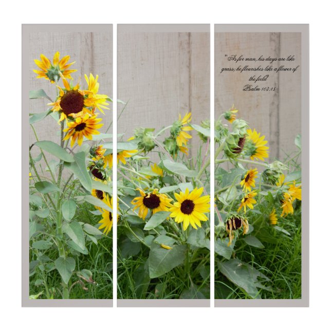 Sunflower Floral Triptych (Front)