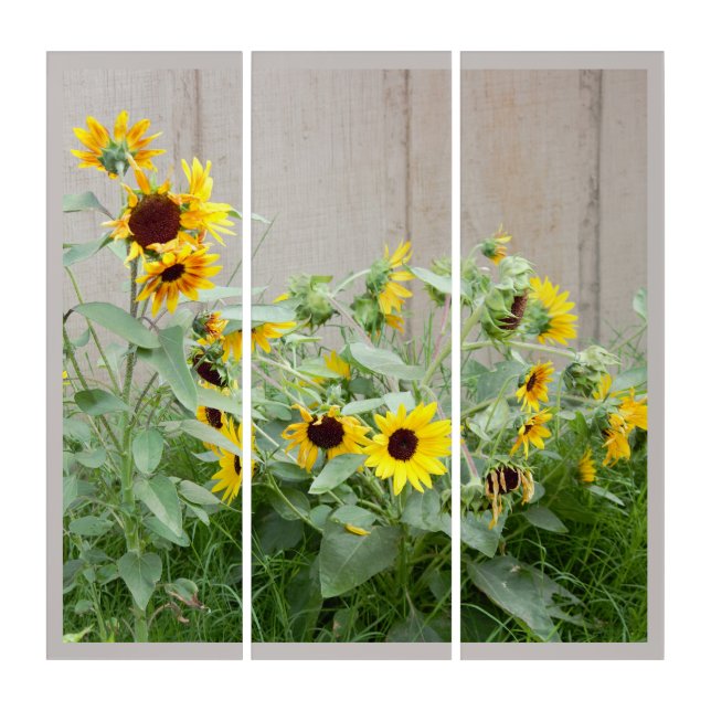 Sunflower Floral Triptych (Front)