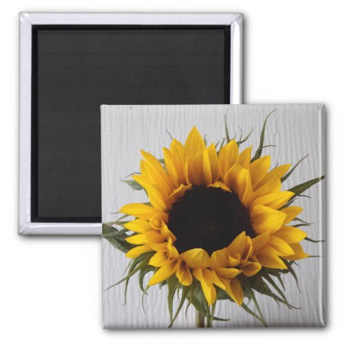 Sunflower Fridge Magnet