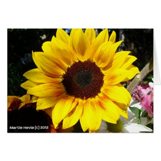 Sunflower & Friends Bouquet Cards (Front Horizontal)