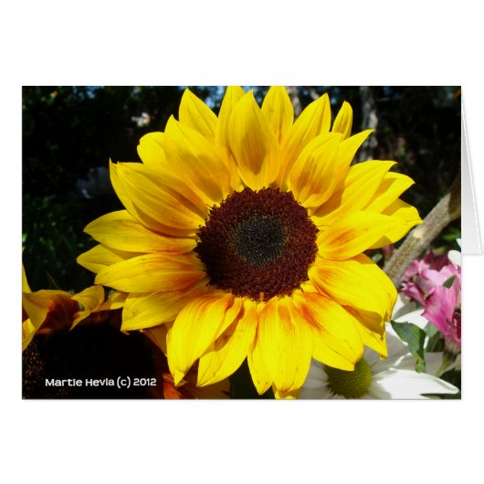 Sunflower & Friends Bouquet Cards (Front Horizontal)