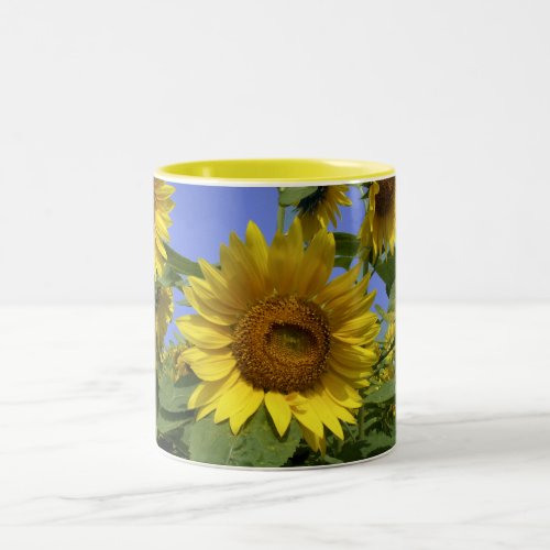 Sunflower from Provence Two_Tone Coffee Mug