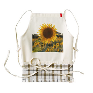 Sunflower garden.Beautiful flowers Zazzle HEART Apron