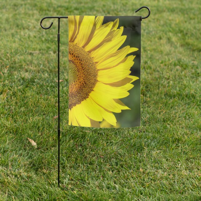 Sunflower  garden flag (In SItu)