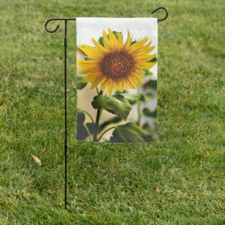 Sunflower Garden Flag