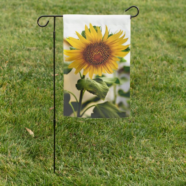 Sunflower Garden Flag (In SItu)