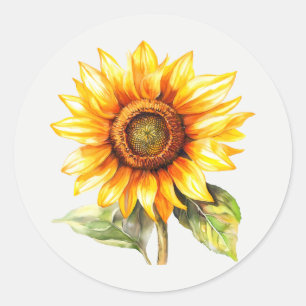 Sunflower Garden Flower Floral art Classic Round Sticker