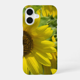 Sunflower Garden iPhone Case