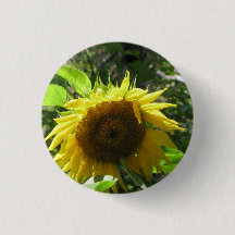 Sunflower Gardening Button