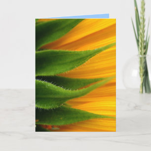 Sunflower Get Well Soon Greeting Card